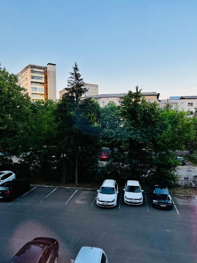 Nest Maria By Short-stay Apartment Baia Mare